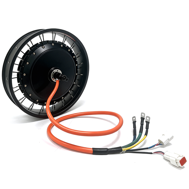 NBpower/QS 273 40H 48-96V 定格72 - Qs Motor 273 8000W Hub Motor のレビューと価格